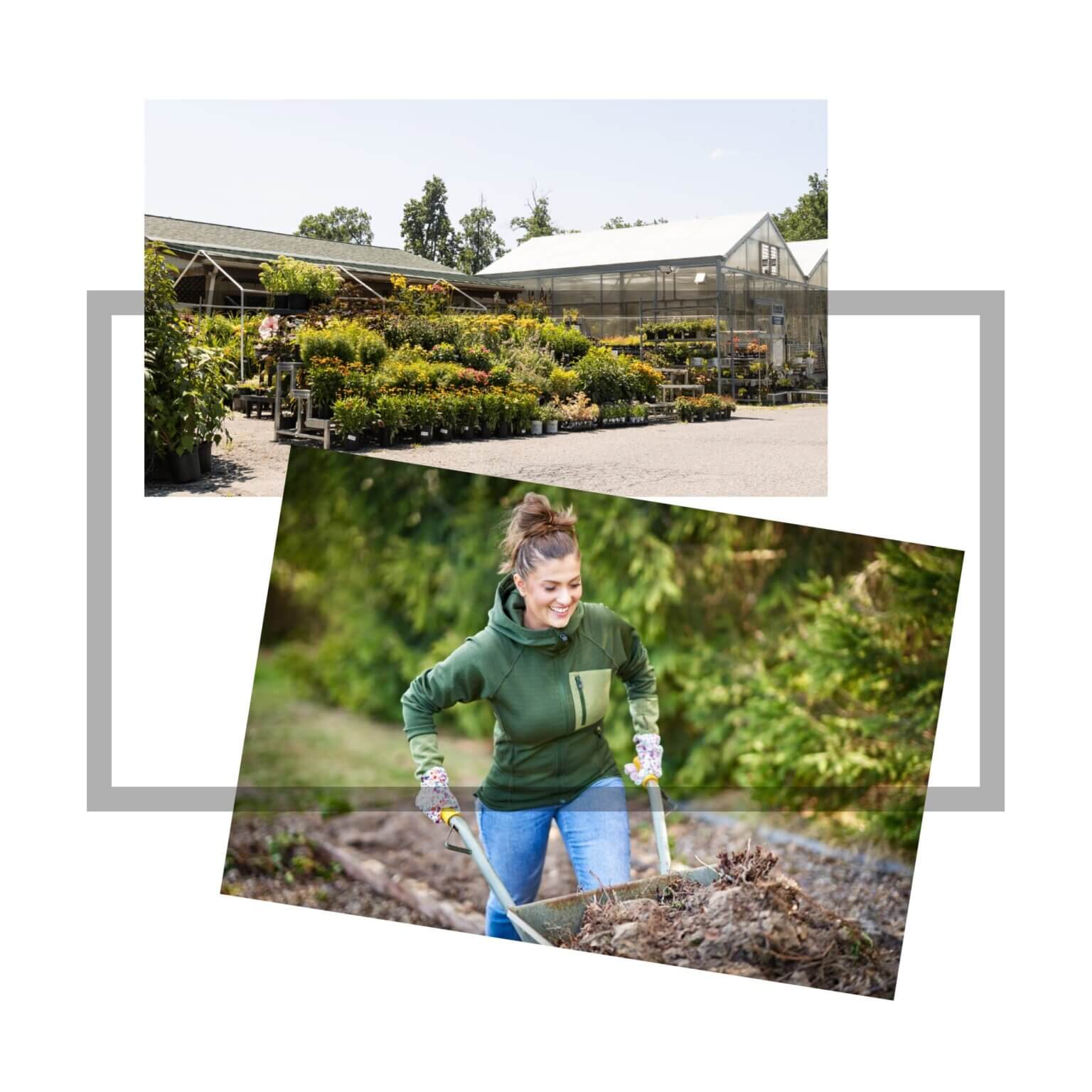 Homeowners,  Nurseries & Outdoor Living